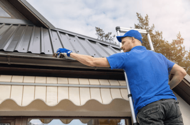 gutter cleaning in palatine