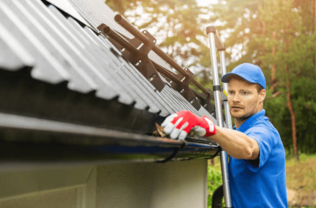 palatine gutter service